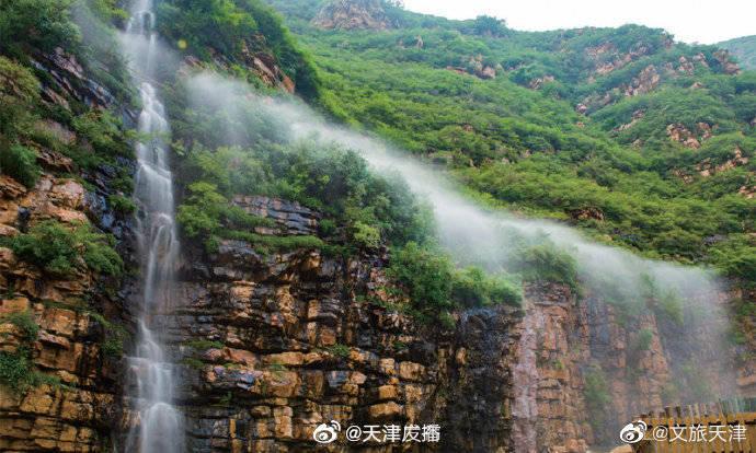 滚动的奶酪